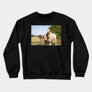 Standing on a seat Spinoni Crewneck Sweatshirt